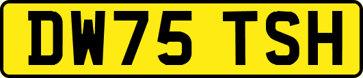 DW75TSH