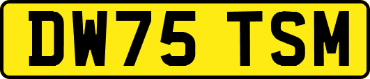 DW75TSM