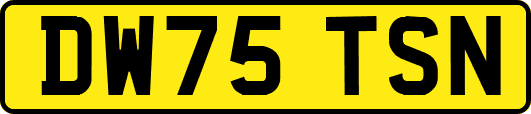 DW75TSN