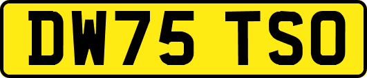 DW75TSO