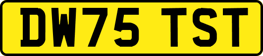 DW75TST