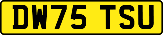 DW75TSU