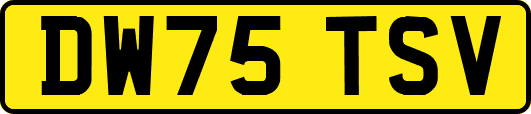 DW75TSV