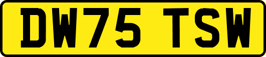 DW75TSW
