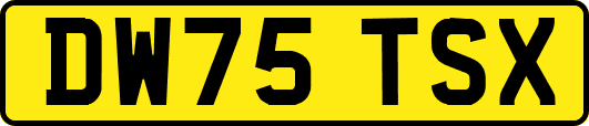 DW75TSX