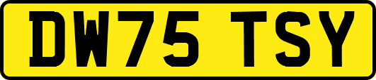 DW75TSY