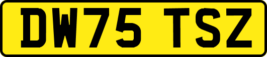 DW75TSZ