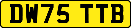 DW75TTB