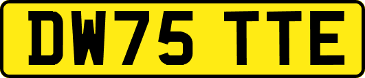 DW75TTE