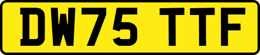 DW75TTF