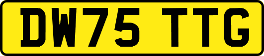 DW75TTG