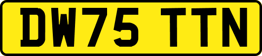 DW75TTN
