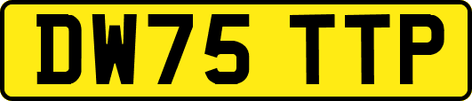 DW75TTP