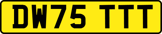 DW75TTT