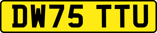 DW75TTU