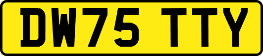 DW75TTY