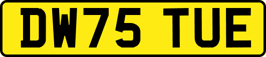 DW75TUE