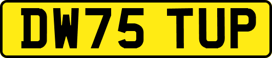 DW75TUP