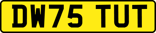 DW75TUT