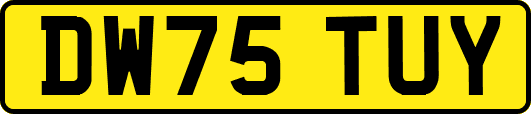 DW75TUY