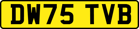 DW75TVB