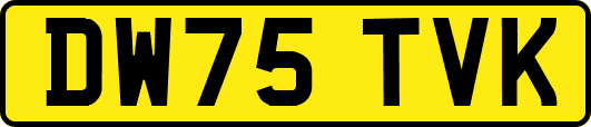 DW75TVK