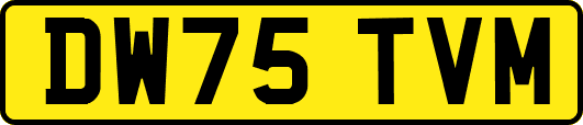 DW75TVM