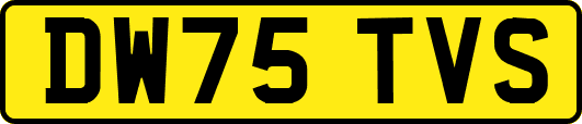 DW75TVS