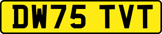 DW75TVT