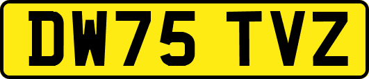 DW75TVZ