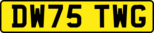 DW75TWG