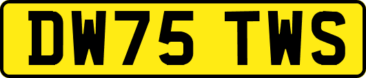 DW75TWS