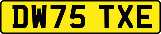 DW75TXE