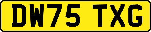 DW75TXG