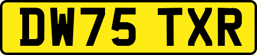 DW75TXR