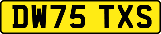 DW75TXS
