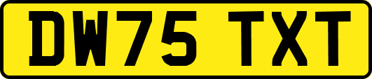 DW75TXT