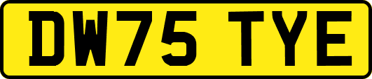 DW75TYE