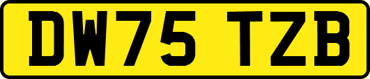 DW75TZB