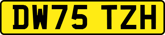 DW75TZH