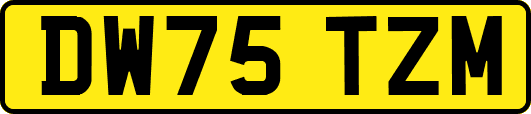 DW75TZM