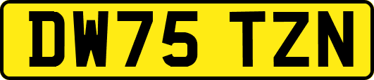 DW75TZN
