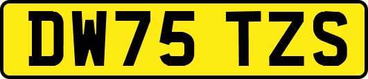 DW75TZS