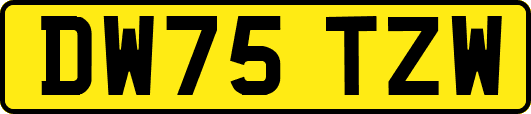 DW75TZW