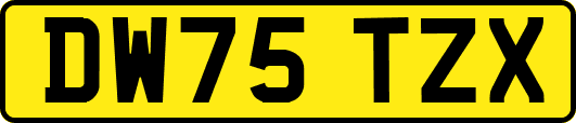 DW75TZX