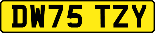 DW75TZY