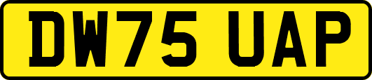 DW75UAP