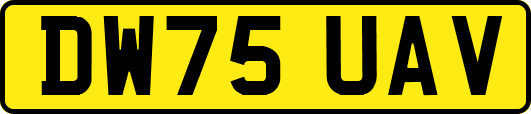 DW75UAV