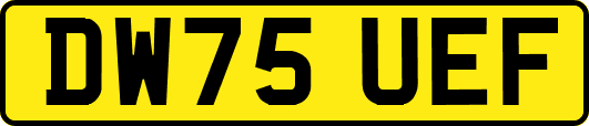 DW75UEF