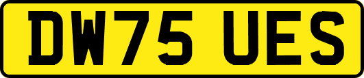 DW75UES